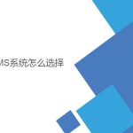 wms系統(tǒng)怎么選擇？